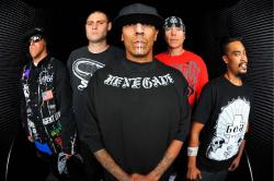 Hed Pe